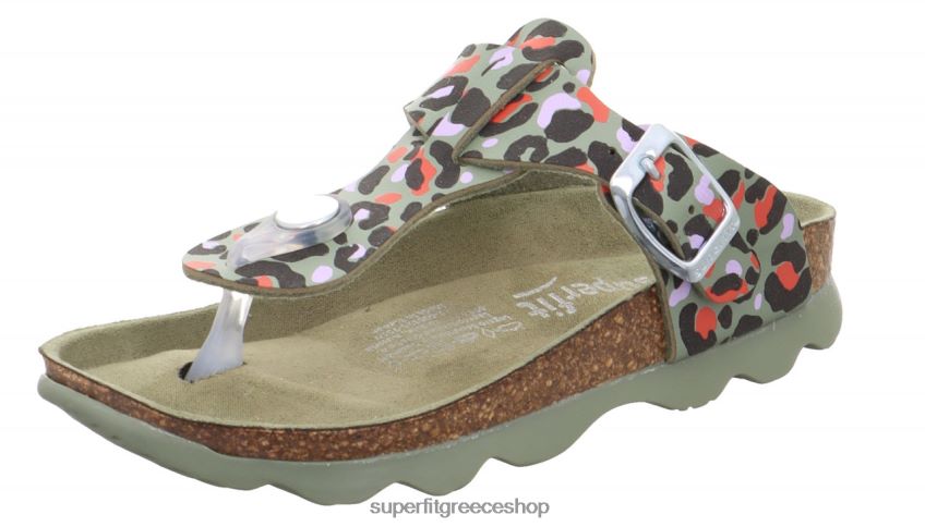 πράσινο/πολύχρωμο